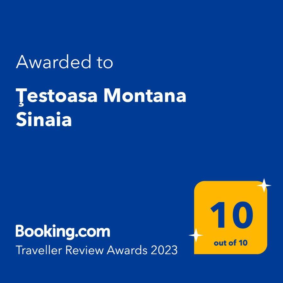 Апартаменты Testoasa Montana Синая Экстерьер фото